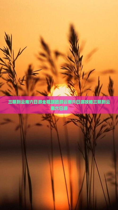 三明到云南六日游