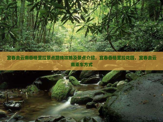 宜春去云南香格里拉景点