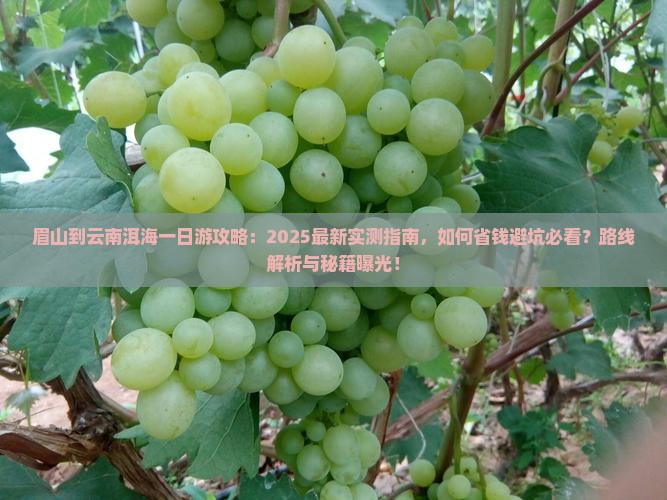 眉山到云南洱海一日