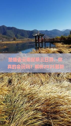 楚雄去云南昆明三日游