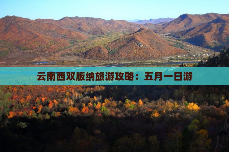五月到云南西双版纳一日