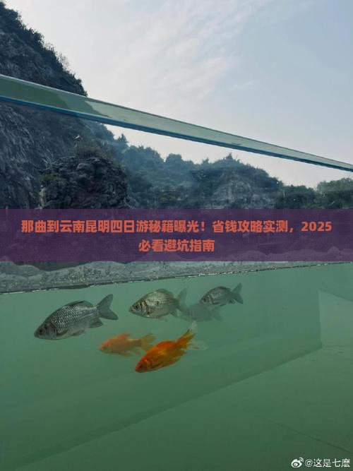 那曲到云南昆明四日游