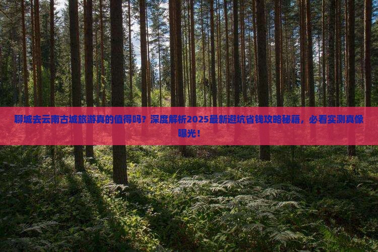 聊城去云南古城旅游