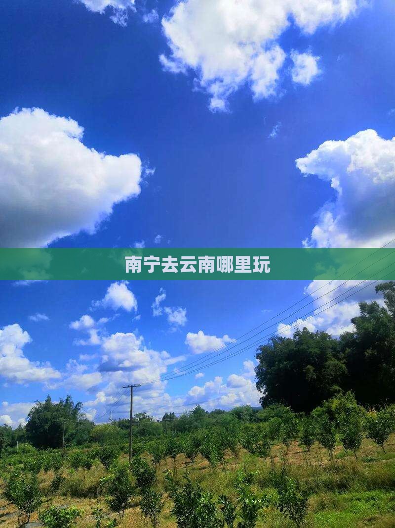 南宁去云南哪里玩 南宁去云南哪里玩