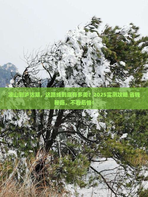 凉山到云南泸沽湖必去地