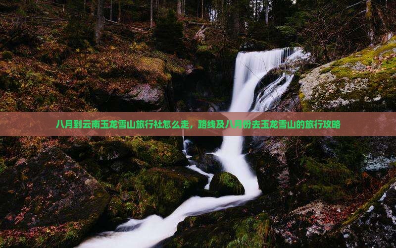 八月到云南玉龙雪山旅行社