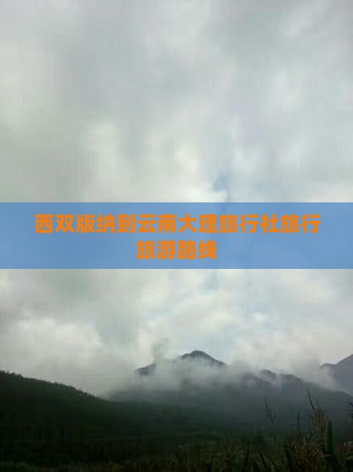 西双版纳到云南洱海旅行社