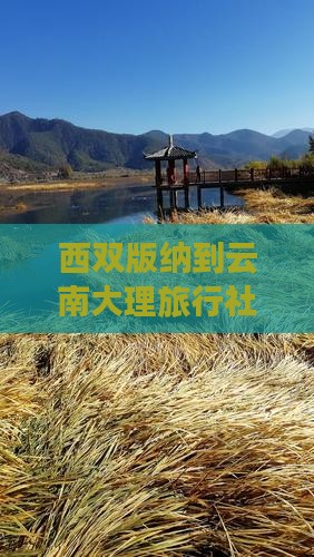 西双版纳到云南洱海旅行社