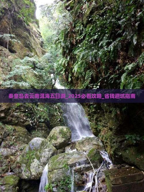秦皇岛去云南洱海五日游