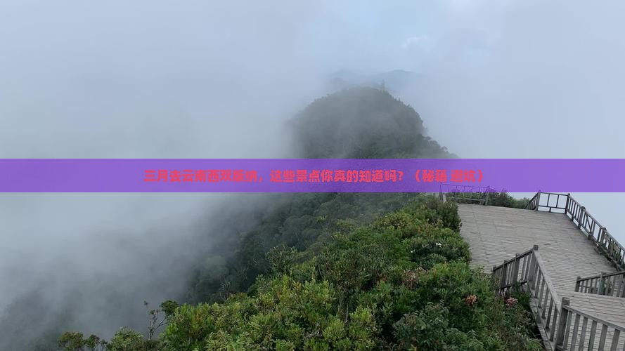 三月到云南西双版纳景点