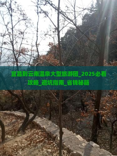 宜昌到云南温泉大型旅游团