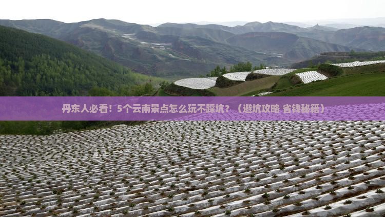 丹东去云南景点