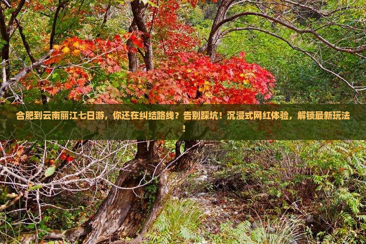 合肥到云南丽江七日游