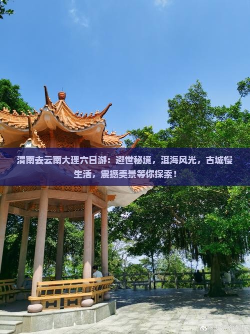渭南去云南大理六日游