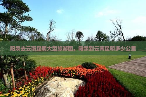 阳泉去云南昆明大型旅游团