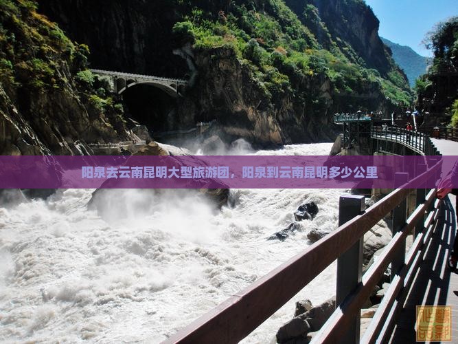 阳泉去云南昆明大型旅游团
