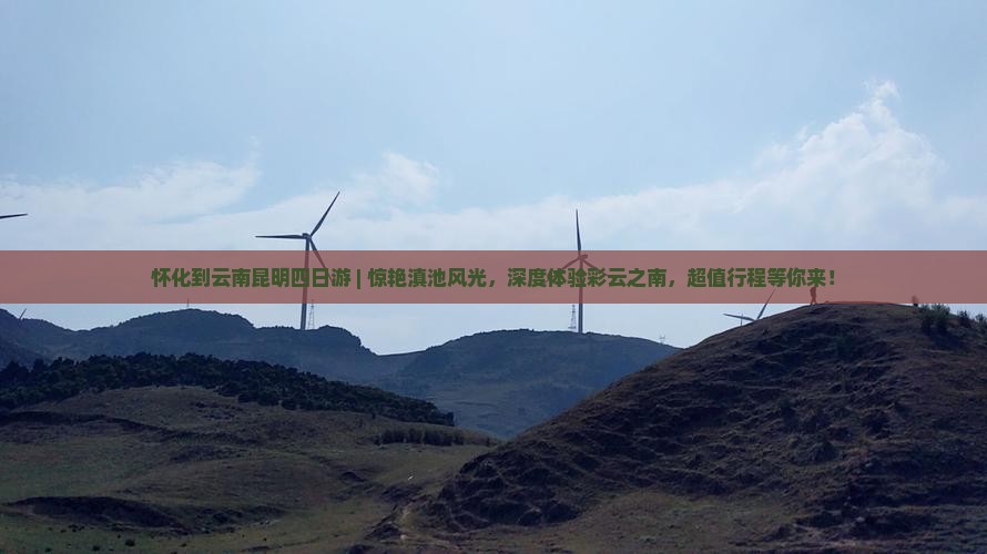 怀化到云南昆明四日游