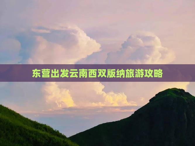 东营去云南西双版纳景点