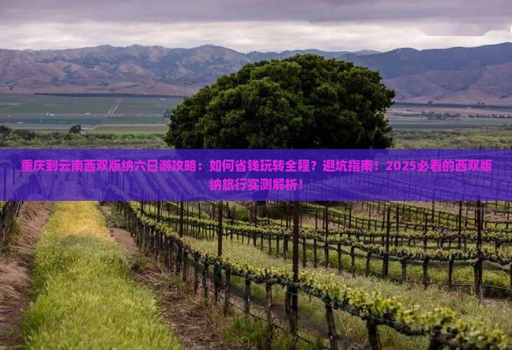 重庆到云南西双版纳六日游