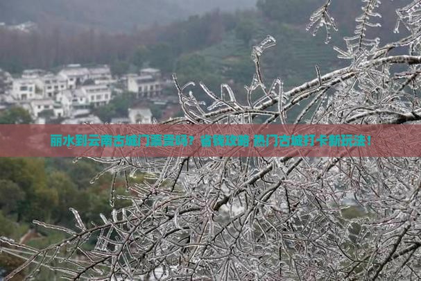 丽水到云南古城门票
