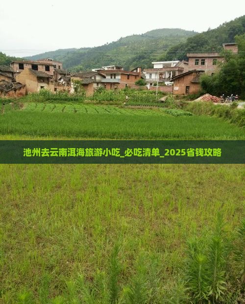 池州去云南洱海旅游小吃