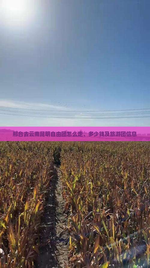 邢台去云南昆明自由团