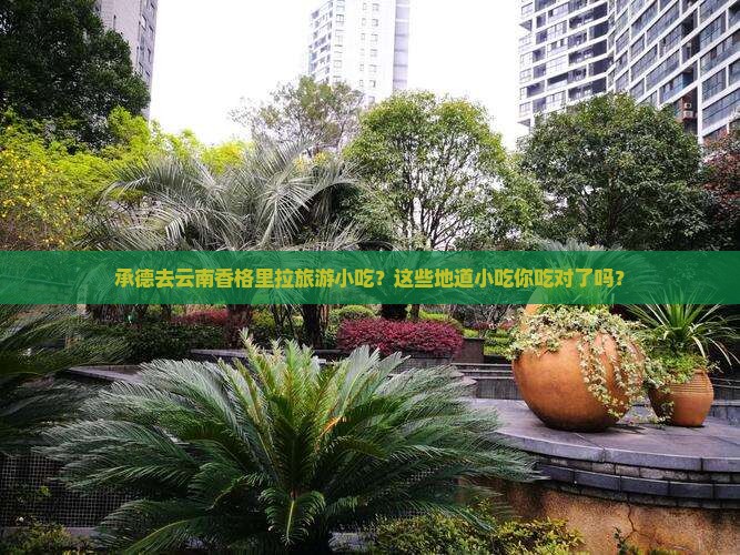 承德去云南香格里拉旅游小吃