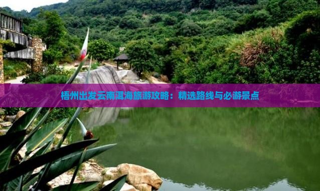 梧州去云南洱海景点