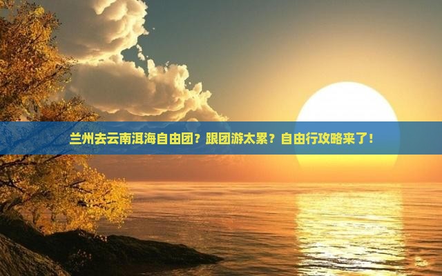 兰州去云南洱海自由团