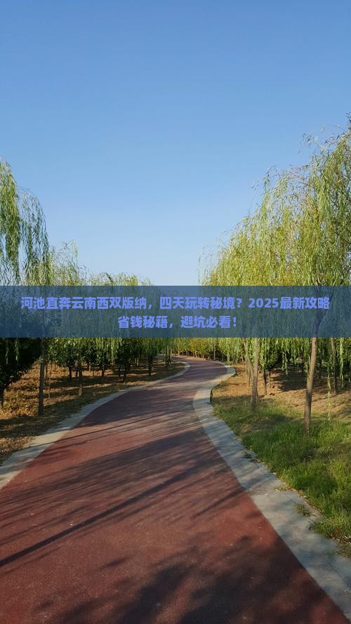 河池到云南西双版纳四日游