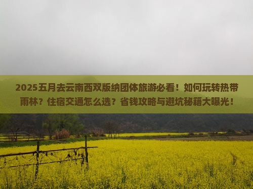 五月去云南西双版纳团体旅游