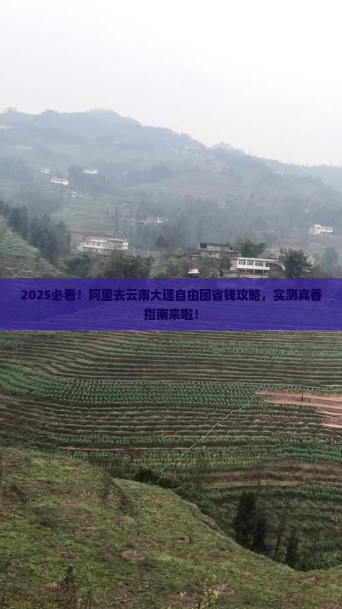 阿里去云南大理自由团