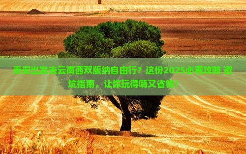 泰安去云南西双版纳自由行