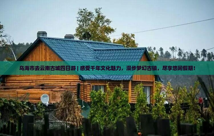 乌海市去云南古城四日游