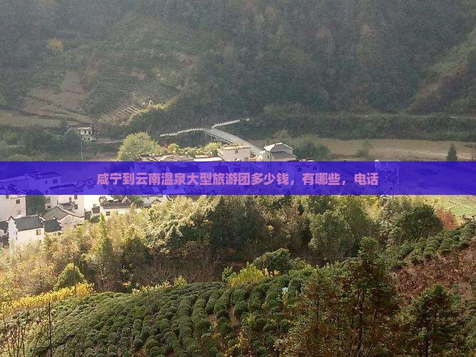 咸宁到云南温泉大型旅游团