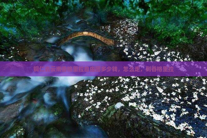铜仁去云南香格里拉自由团