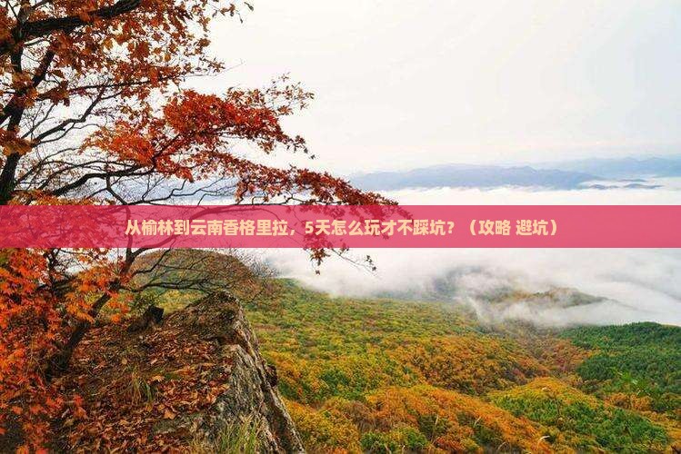 榆林去云南香格里拉哪里玩