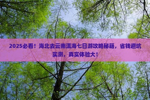 海北去云南洱海七日游