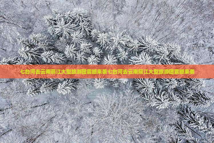 七台河去云南丽江大型旅游团