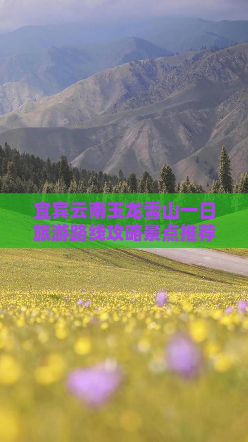宜宾到云南玉龙雪山一日