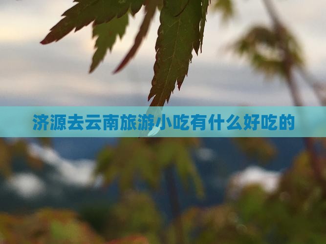 济源去云南旅游小吃