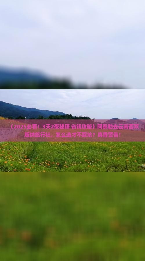 阿泰勒到云南西双版纳旅行社