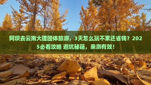 阿坝去云南大理团体旅游