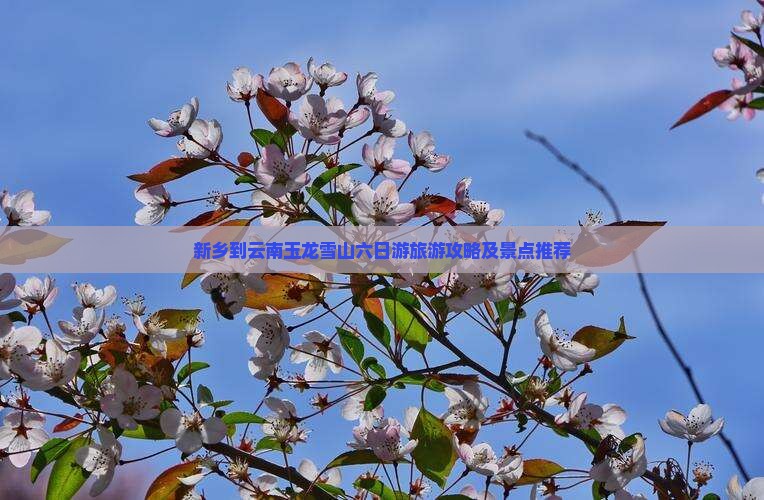 新乡到云南玉龙雪山六日游
