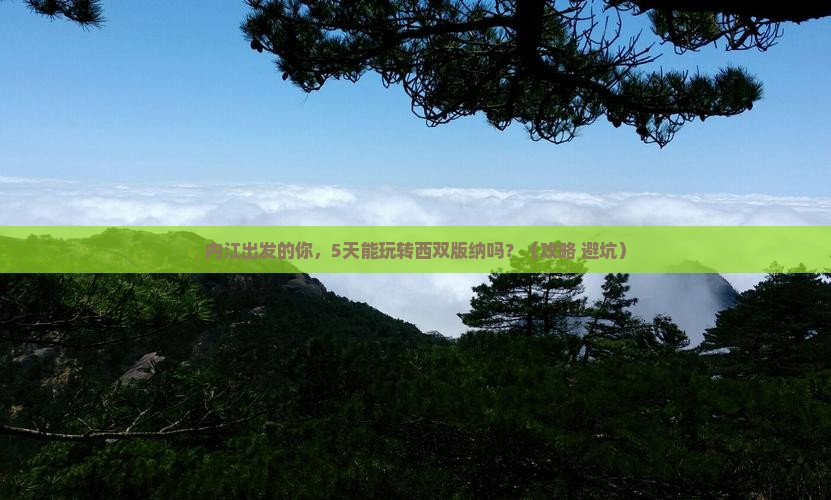 内江到云南西双版纳五日游