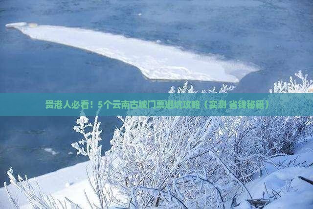 贵港去云南古城门票