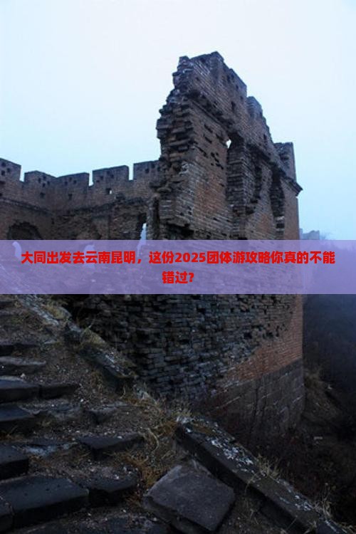 大同去云南昆明团体旅游