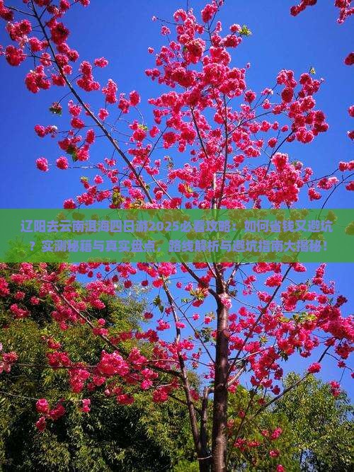辽阳去云南洱海四日游