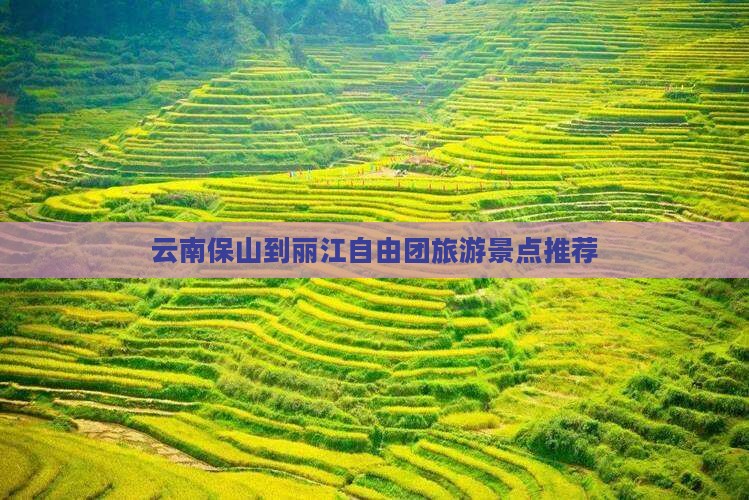 保山到云南丽江自由团