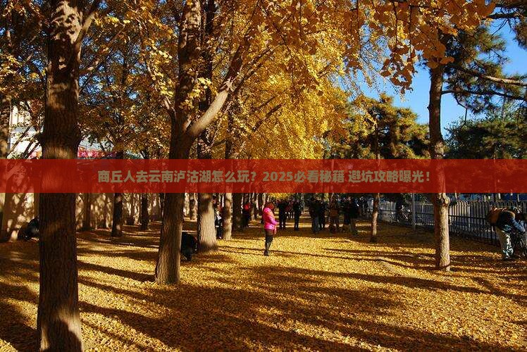 商丘去云南泸沽湖旅游
